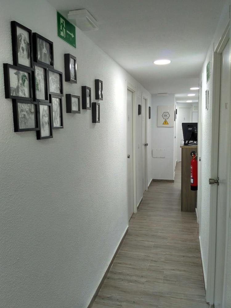 Guesthouse Central Alicante Eksteriør billede